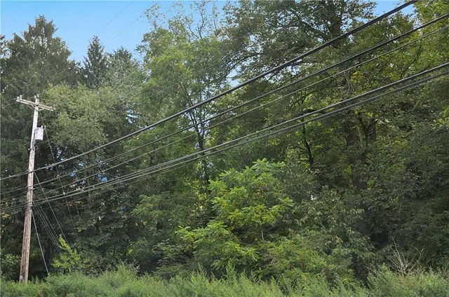 a view of a yard from a balcony