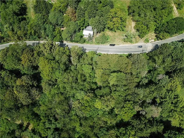 a view of a green yard