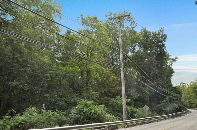 a view of a forest from a window