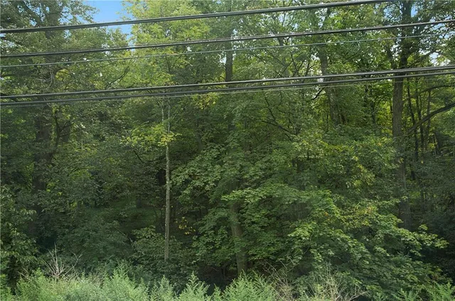 a backyard of a house with lots of green space and mountain view