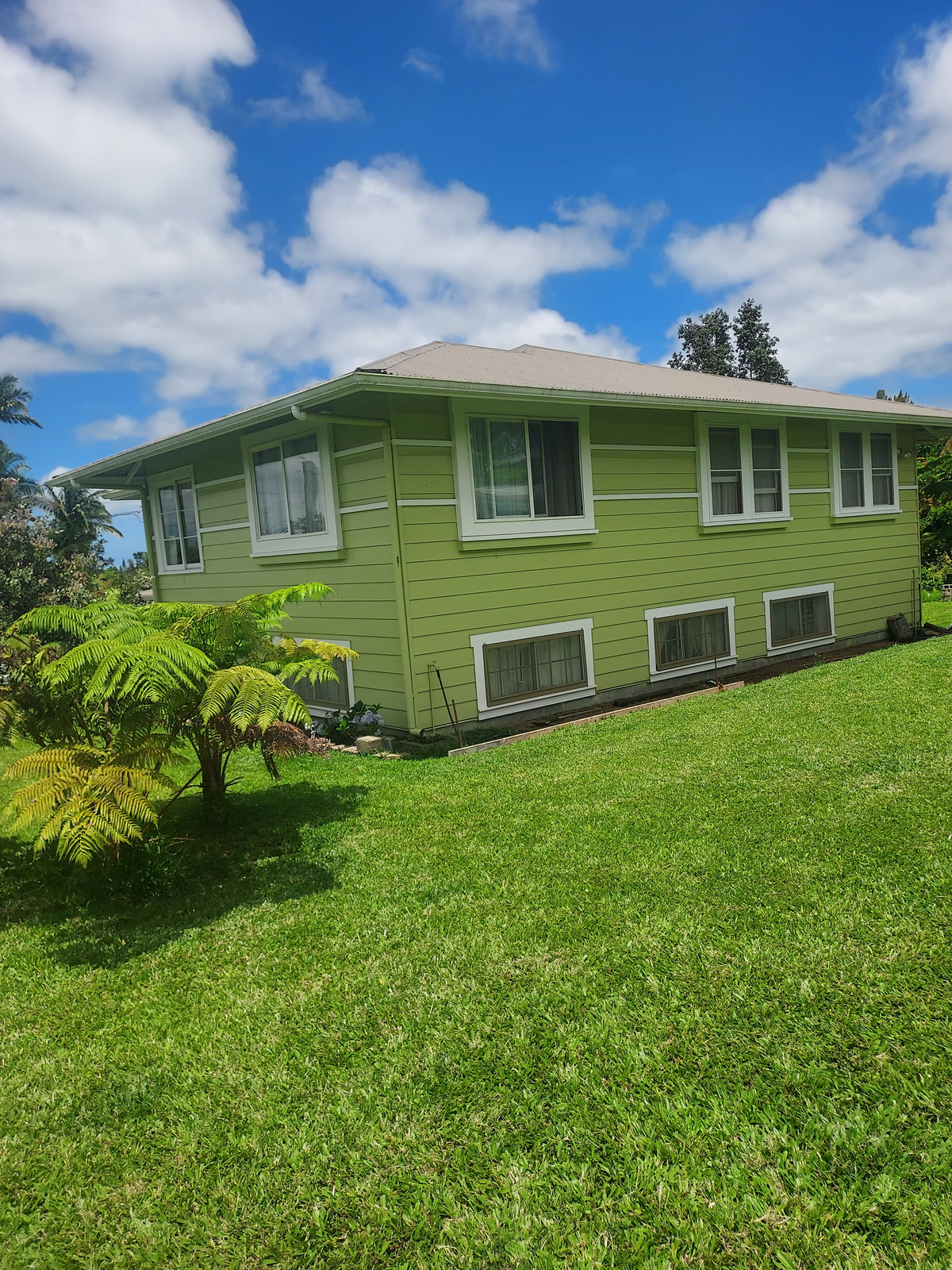18-1259 Volcano Road Mountain View, HI 96771 - Photo 3 of 30