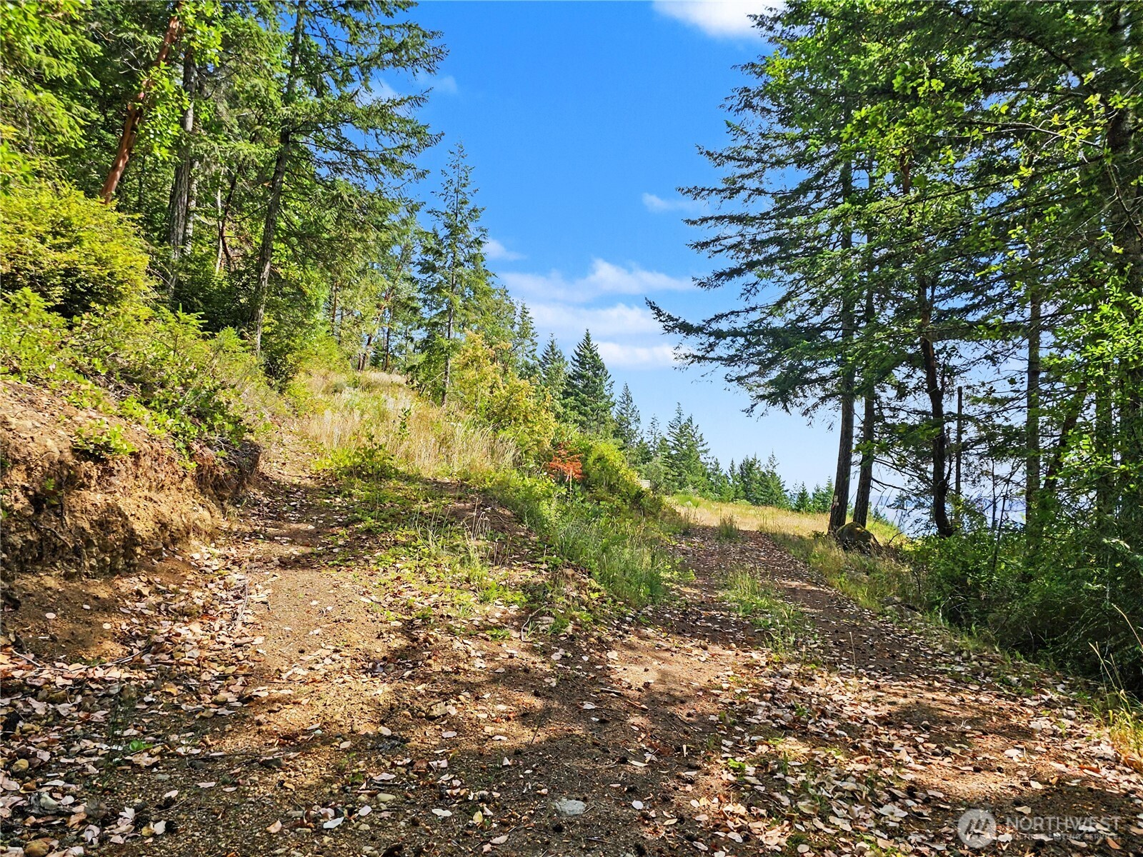 646 Madrona Ridge Drive Brinnon, WA 98320 - Photo 10 of 34 Gallery Image 10