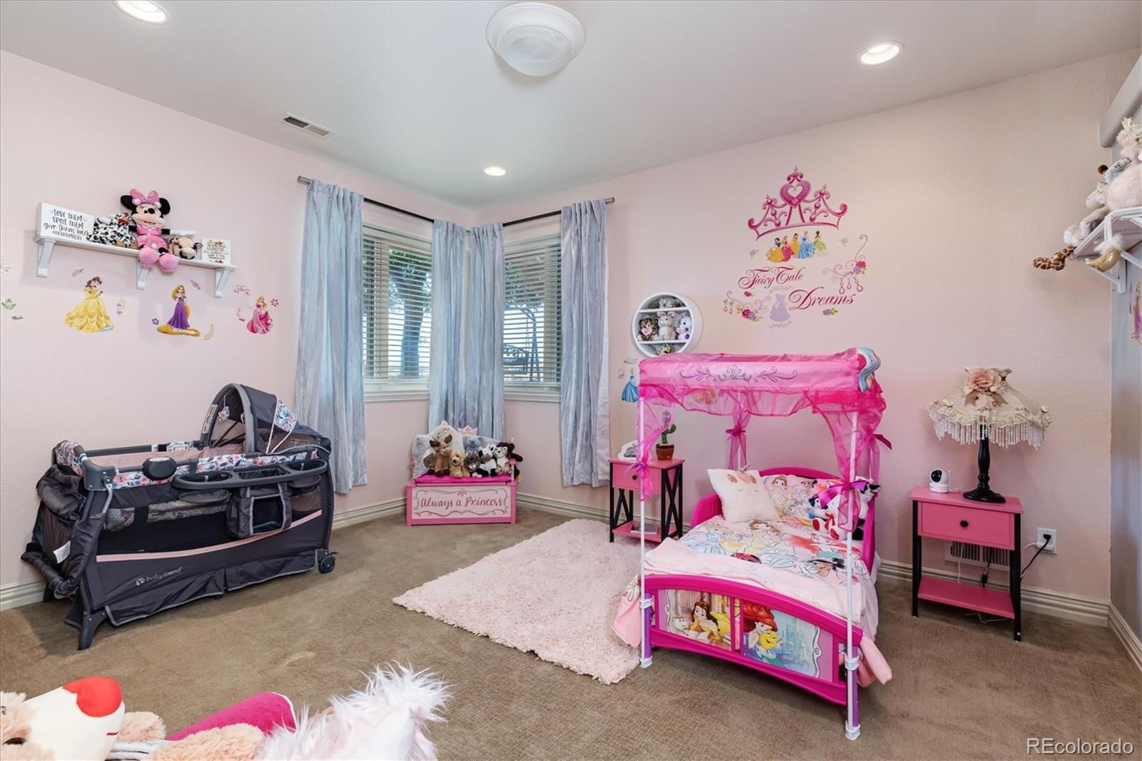 12080 Summit Ridge Road Parker, CO 80138 - Photo 31 of 39 a bedroom with a bed and a couch