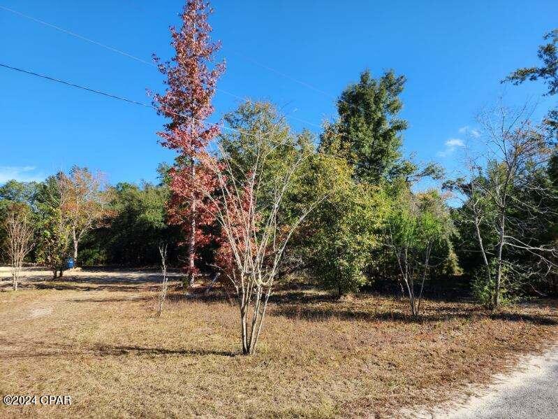 11808 Raccoon Road Panama City, FL 32409 - Photo 6 of 8 Gallery Image 6