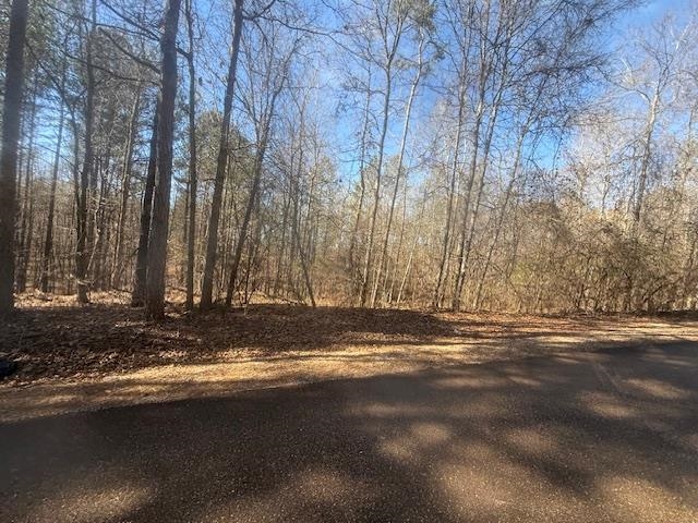 10 Harris Road Bolivar, TN 38008 - Photo 6 of 11 a view of road with trees