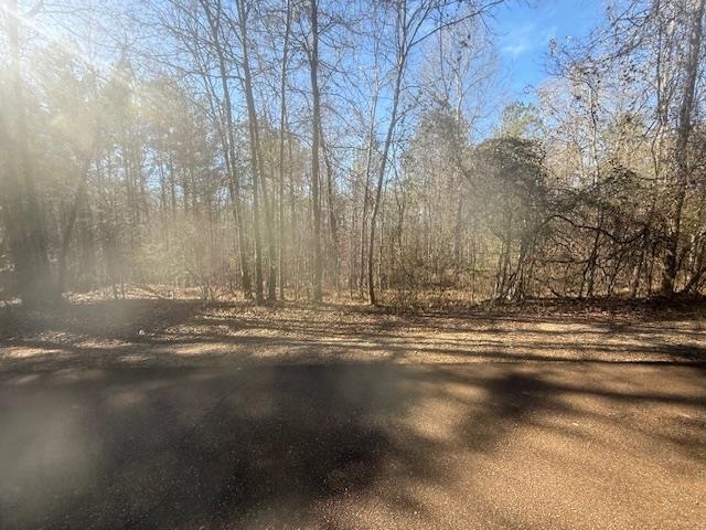 10 Harris Road Bolivar, TN 38008 - Photo 7 of 11 a view of a yard with a large tree