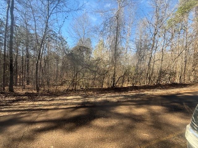 10 Harris Road Bolivar, TN 38008 - Photo 8 of 11 a view of street with side of trees