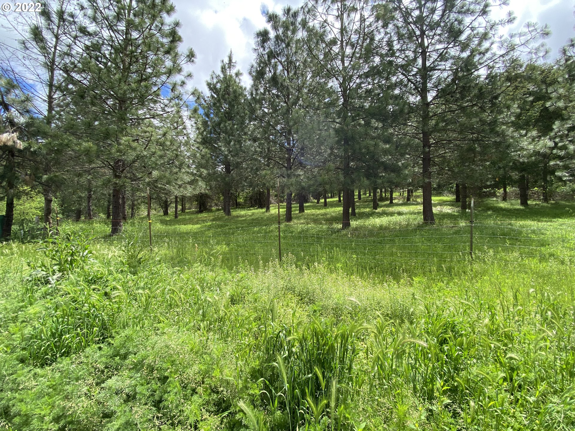 3005 Shoestring Road Riddle, OR 97469 - Photo 25 of 32 a view of grassy field with trees
