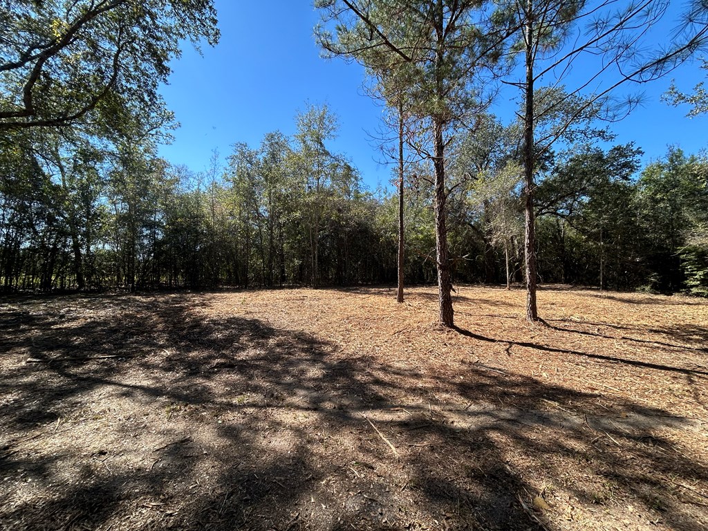 20-ac Coot Adams Road Ashford, AL 36312 - Photo 17 of 28