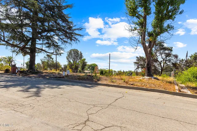 a view of a yard and entertaining space