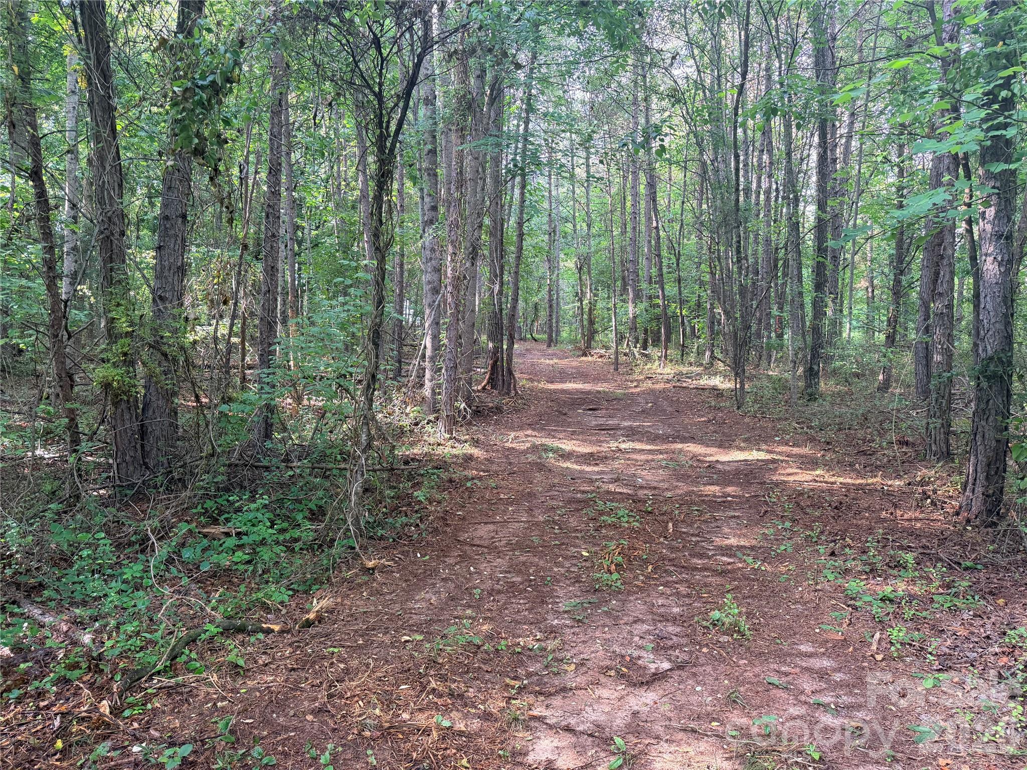 Lot 1 Schenck Farm Road Lawndale, NC 28090 - Photo 10 of 11