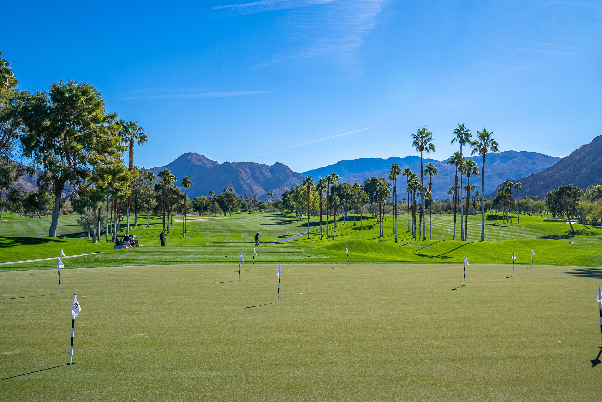 73211 Foxtail Lane Palm Desert, CA 92260 - Photo 64 of 91 DSC01218