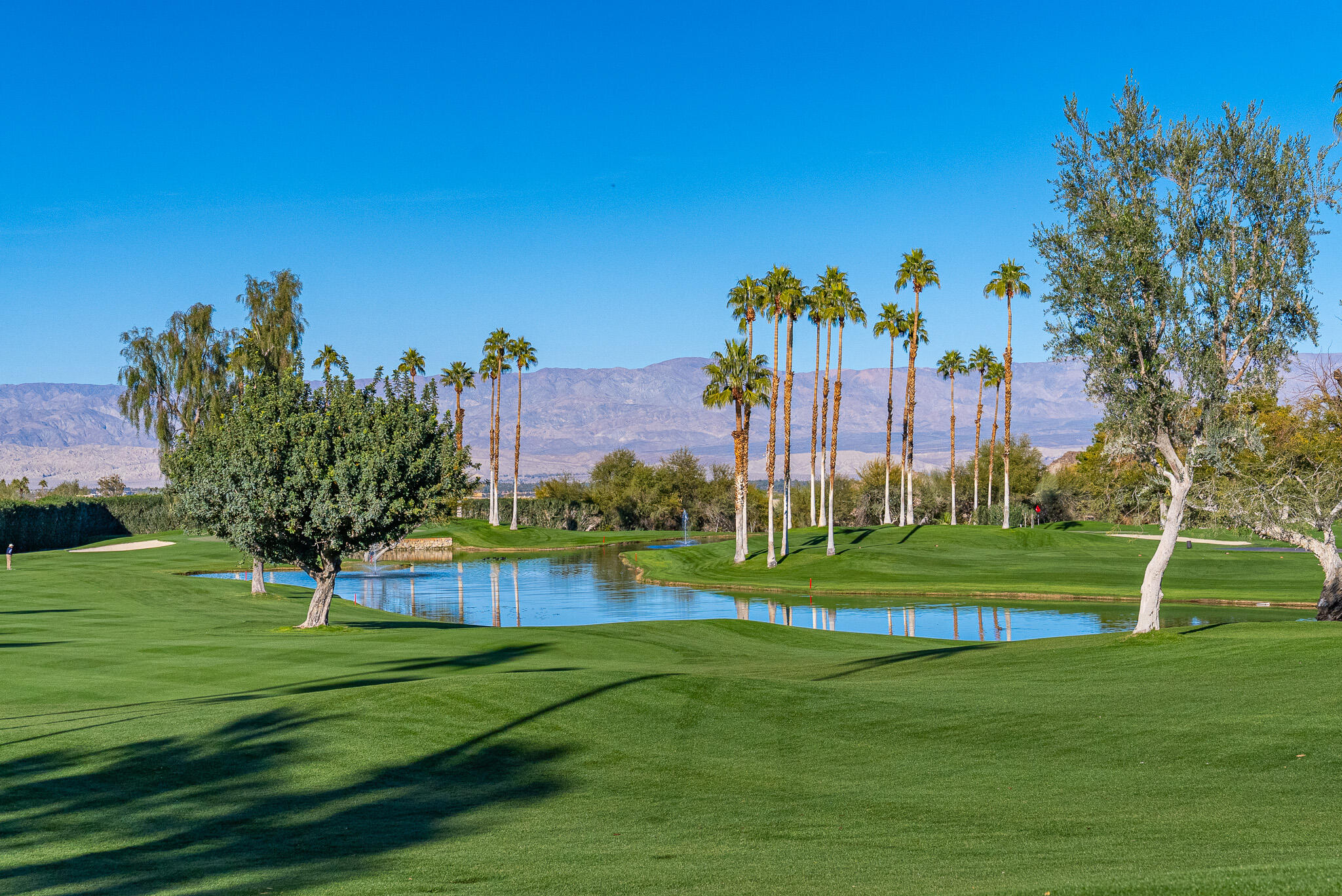 73211 Foxtail Lane Palm Desert, CA 92260 - Photo 88 of 91 DSC01688