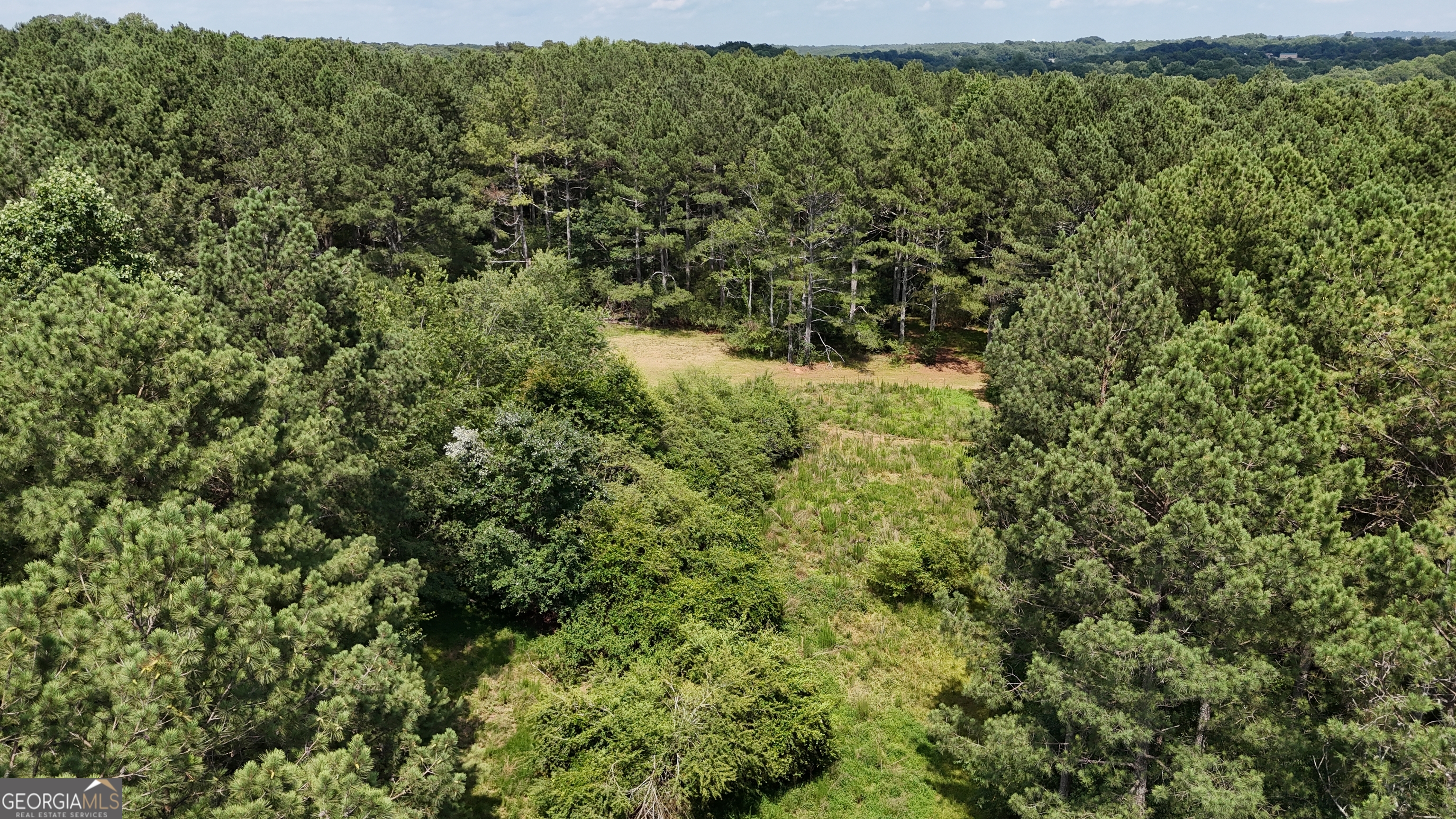 3729 Duncan Bridge Road Southwest Cornelia, GA 30531 - Photo 50 of 63