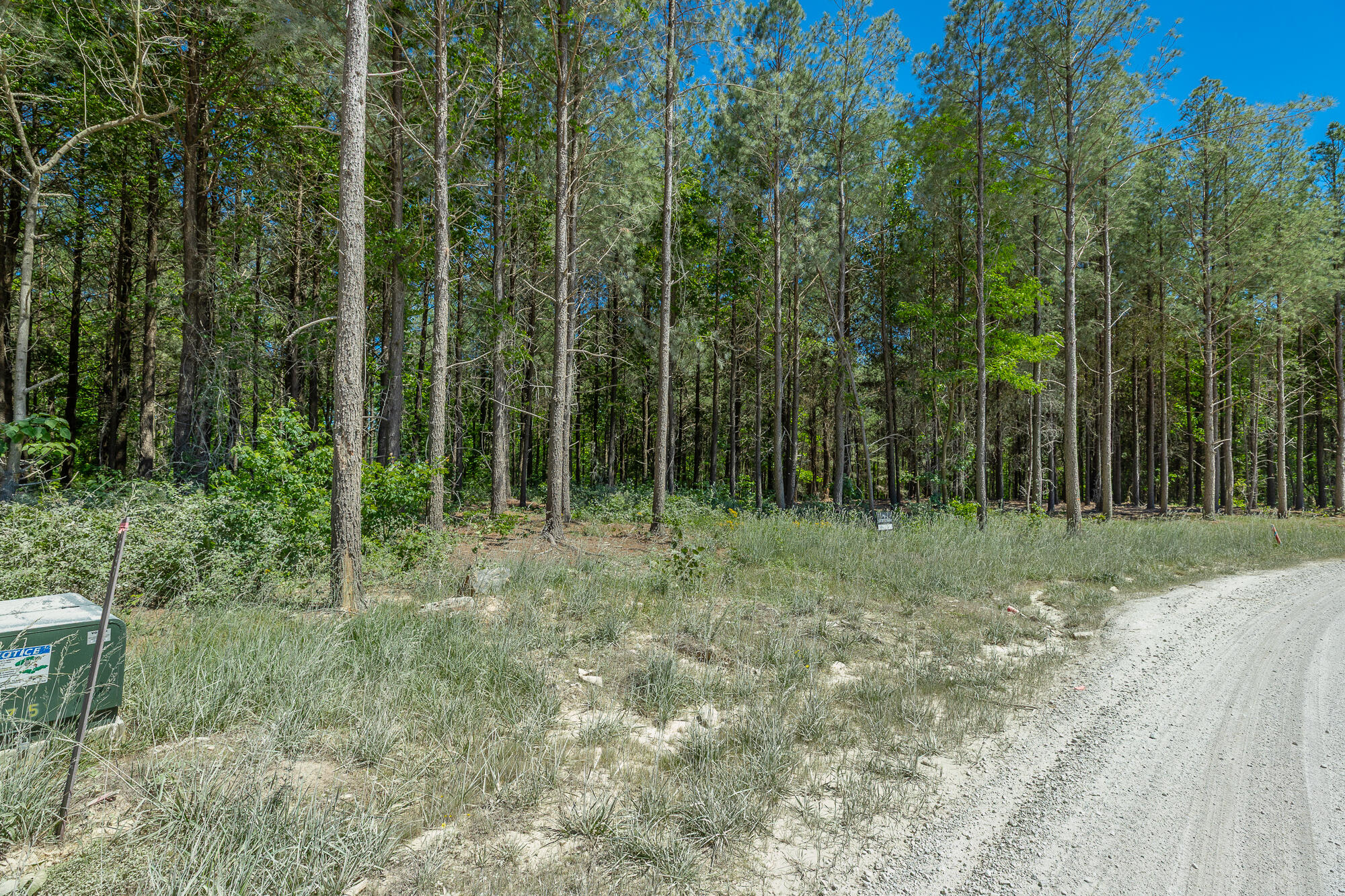 0 Split Rail Way, Unit 1349 Guild, TN 37340 - Photo 23 of 108 0 Split Rail Way - Lot 1349 HD-52