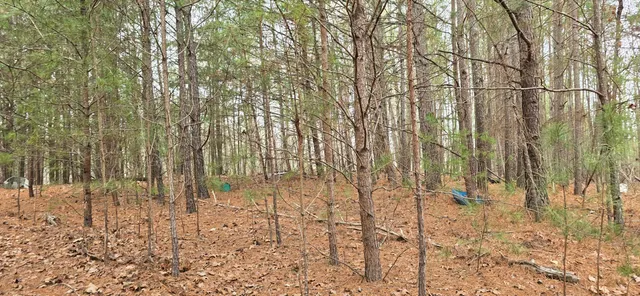 $29,000 | 117 Scenic View Drive, Summerville, GA 30747