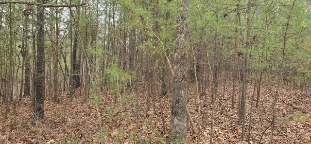 $29,000 | 117 Scenic View Drive, Summerville, GA 30747