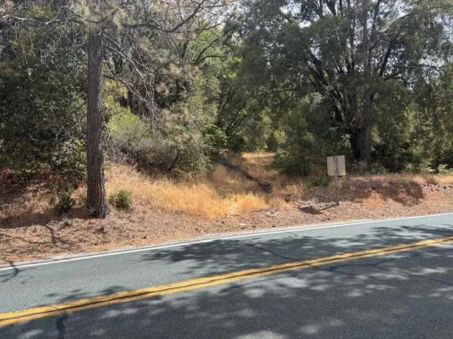 a view of a yard from a window