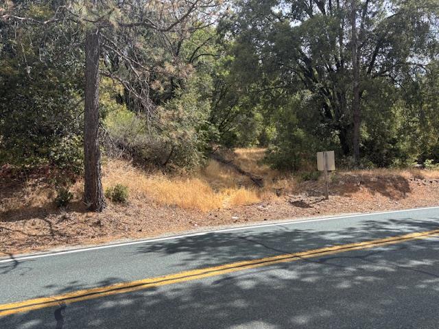 16272 State Rte 26 Glencoe, CA 95232 - Photo 11 of 30 a view of a yard with large trees