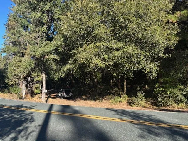 a backyard of a house with large trees and plants