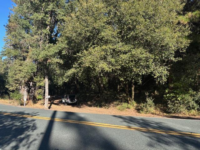 16272 State Rte 26 Glencoe, CA 95232 - Photo 12 of 30 a view of a yard with a tree
