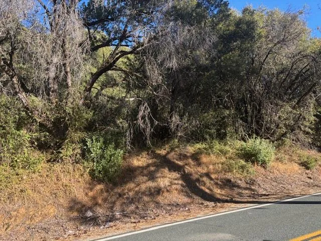 a view of a yard with a tree