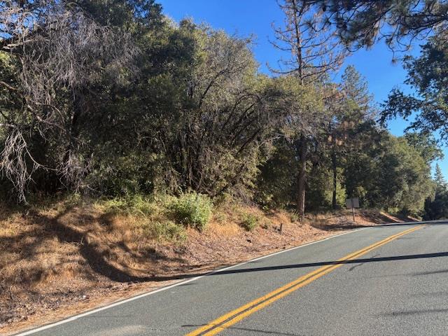 16272 State Rte 26 Glencoe, CA 95232 - Photo 19 of 30 a view of a yard and front of a house