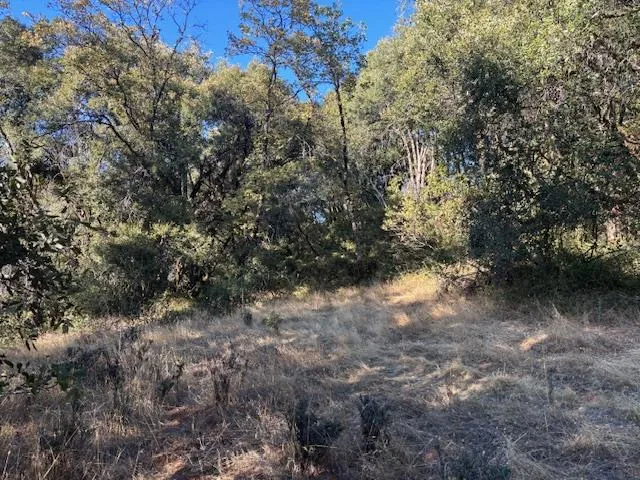 $85,000 | 16272 State Rte 26, Glencoe, CA 95232