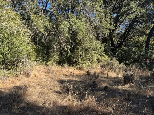 $85,000 | 16272 State Rte 26, Glencoe, CA 95232