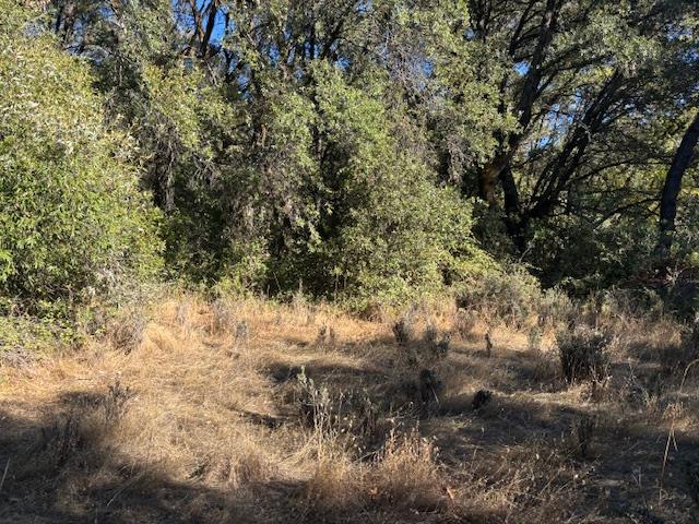 16272 State Rte 26 Glencoe, CA 95232 - Photo 29 of 30 a view of a yard