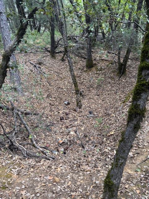 16272 State Rte 26 Glencoe, CA 95232 - Photo 6 of 30 a view of a dry yard with trees all around