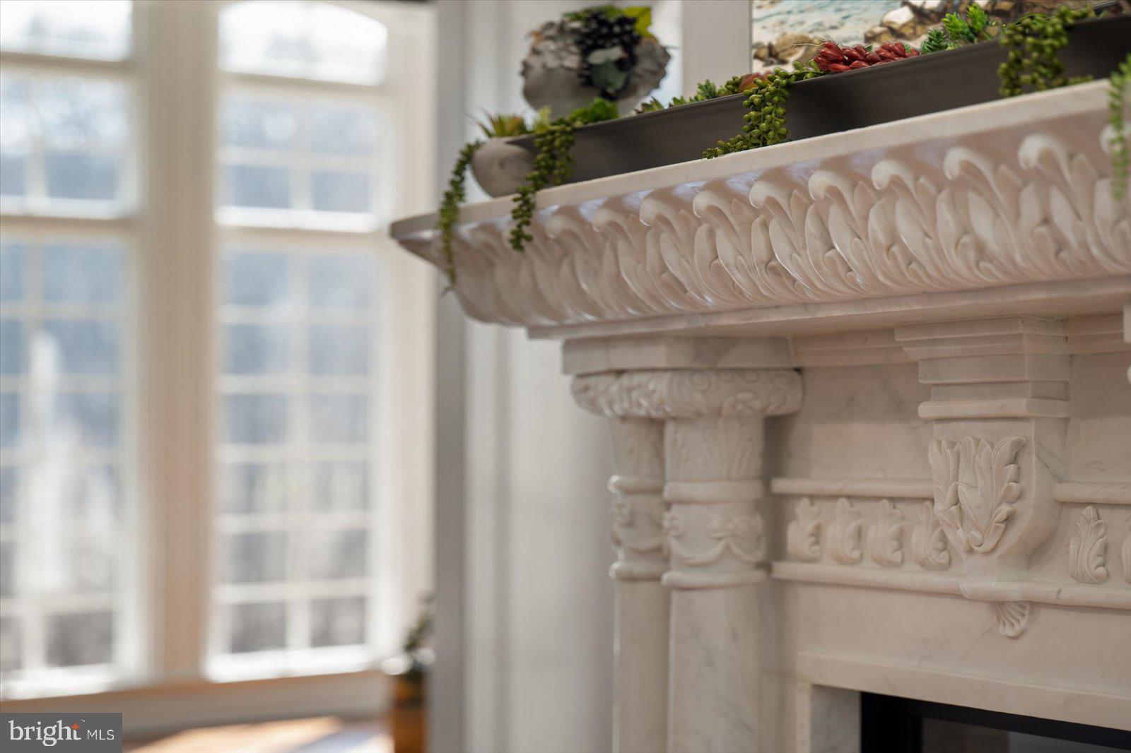 17 Perder Lane Edgewater, MD 21037 - Photo 15 of 115 Gorgeous Marble Mantle