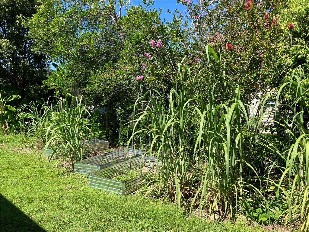3834 Charter Road Lakeland, FL 33810 - Photo 33 of 39 a view of a backyard