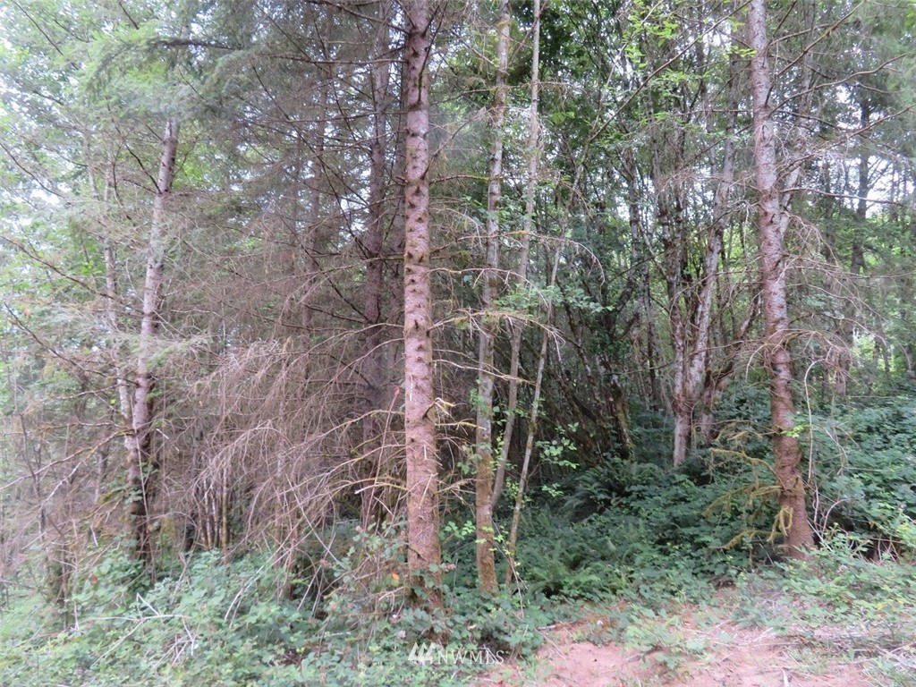 808 Clark Creek Road Longview, WA 98632 - Photo 11 of 21 Gallery Image 11