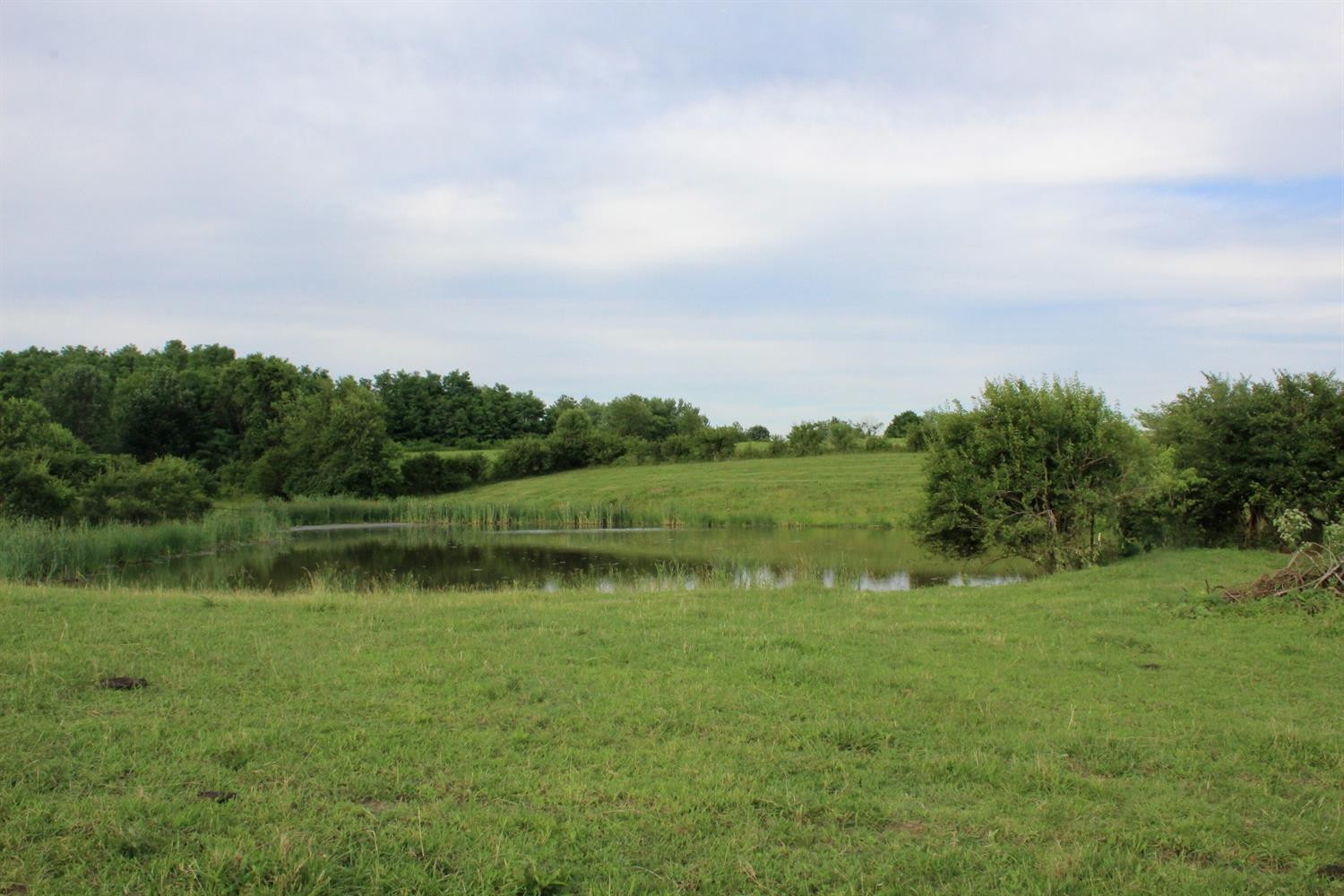 1 Escondida Road Paris, KY 40361 - Photo 5 of 12 Listing Photo