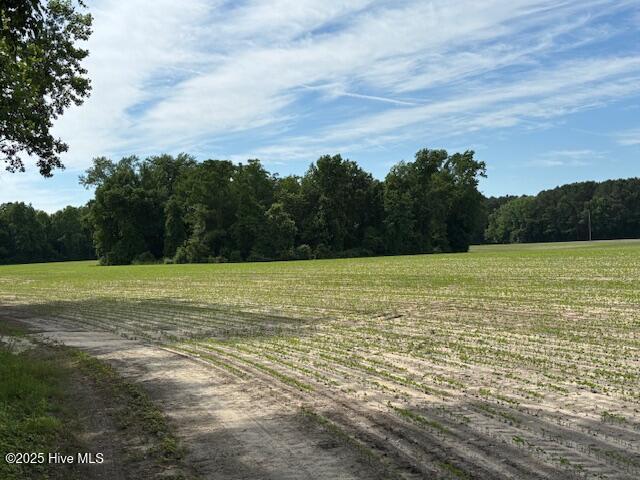 425 Biddle Road Dover, NC 28526 - Photo 20 of 52 IMG_0976