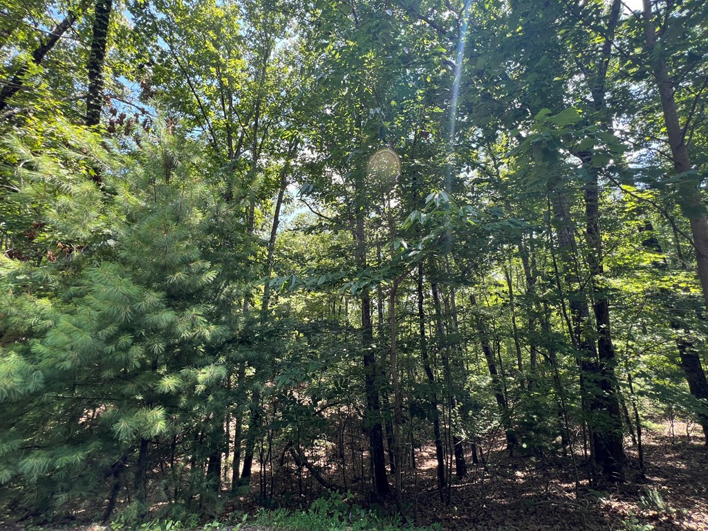 Lot 32 Mission Ridge Hayesville, NC 28904 - Photo 11 of 11