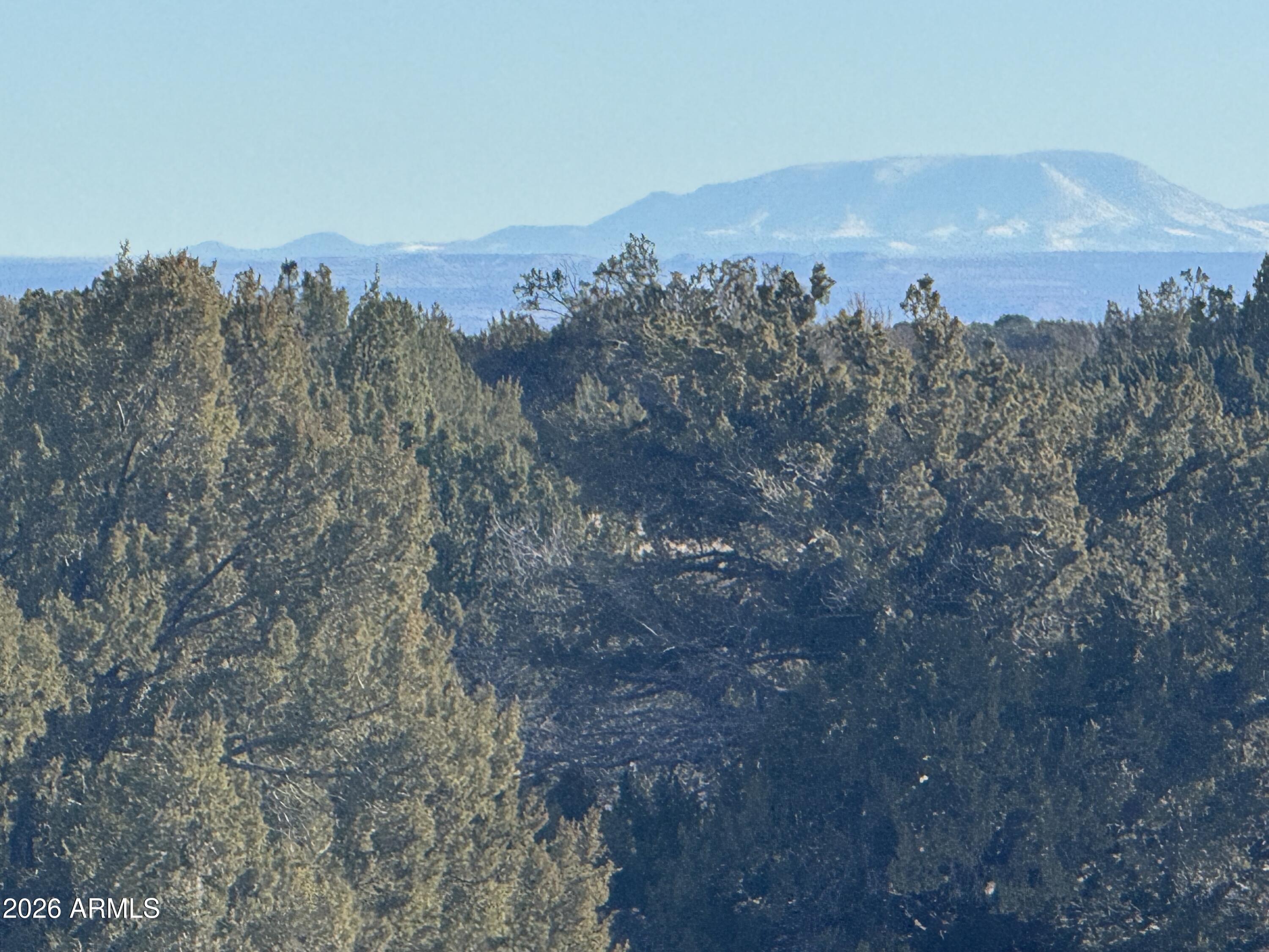 Lot 198 Red Sky Ranch, Unit 198 St. Johns, AZ 85936 - Photo 1 of 20 IMG_0370