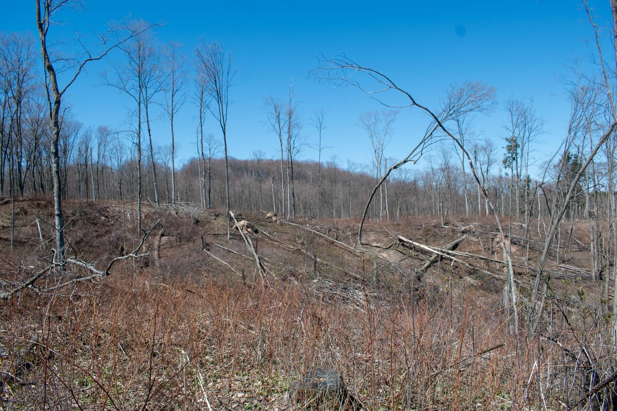 0 East Smiseth Road Suttons Bay, MI 49682 - Photo 27 of 67