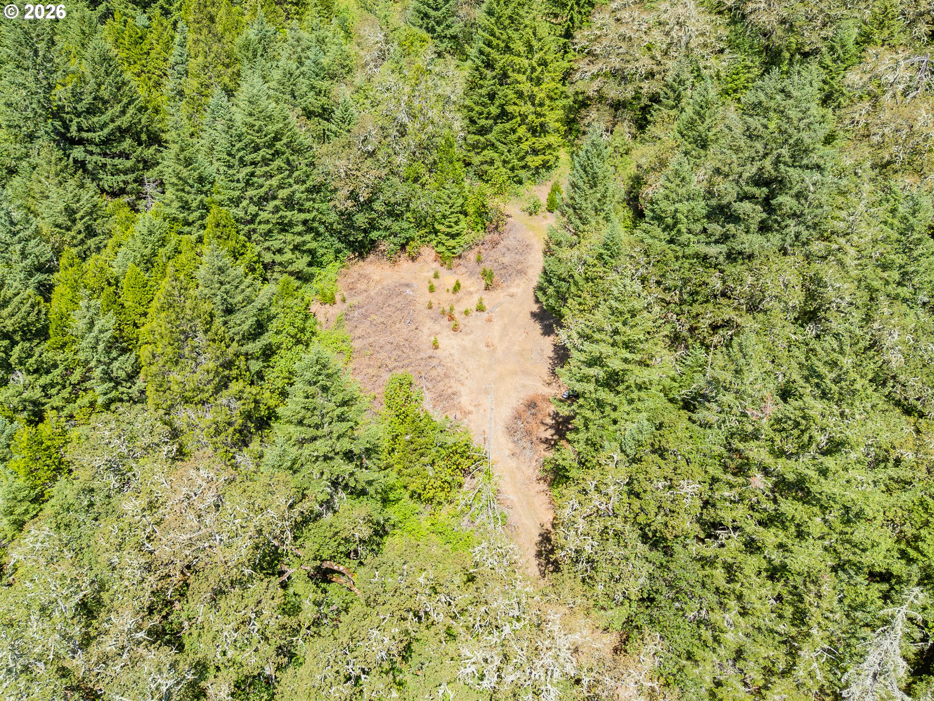 3707 Willis Creek Road Winston, OR 97496 - Photo 22 of 30 a view of a garden