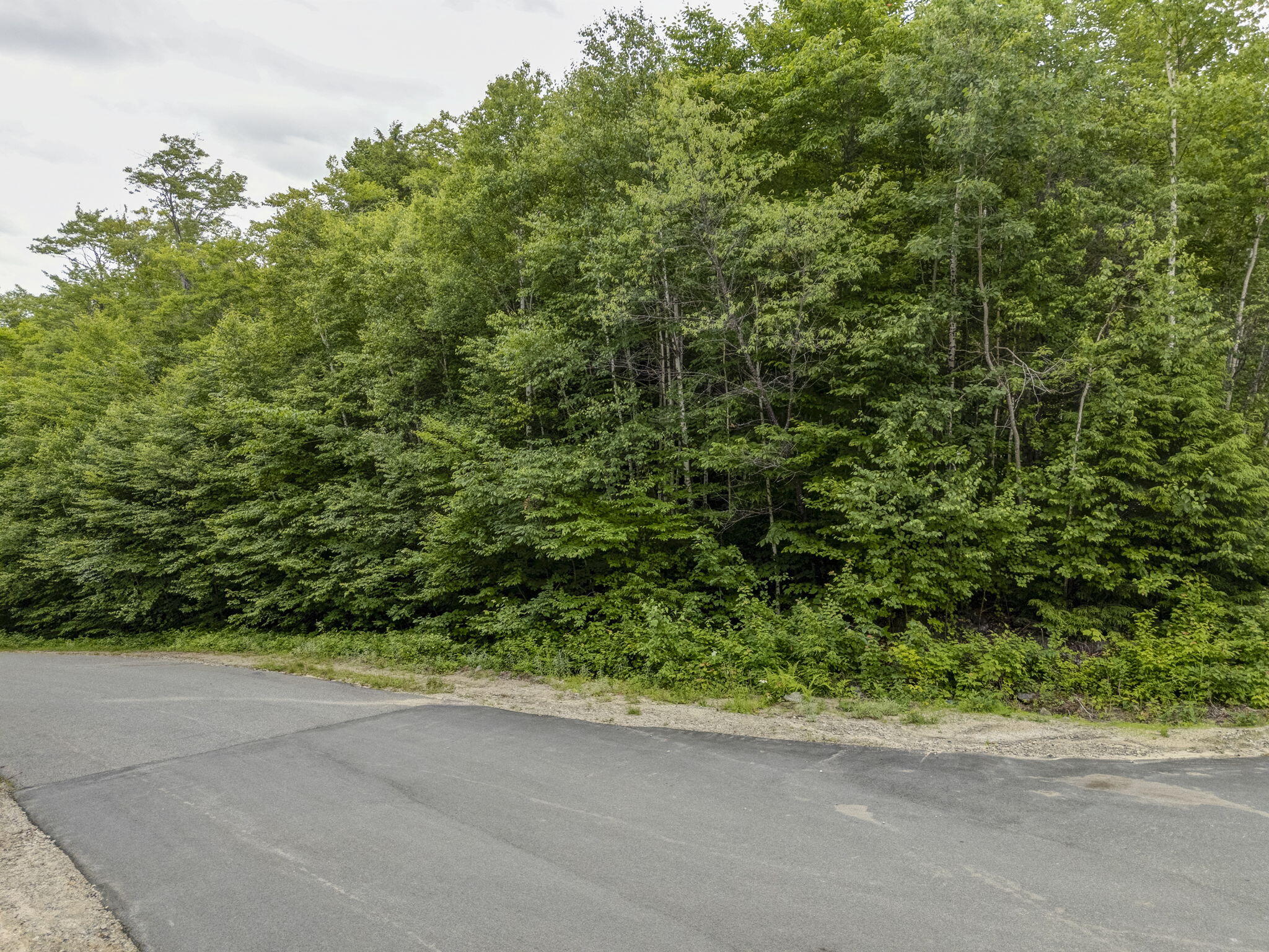 76 Douglass Road Newry, ME 04261 - Photo 23 of 23 23-web-or-mls-Lot76-23