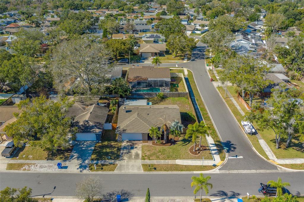 1790 East Orangeside Road Palm Harbor, FL 34683 - Photo 59 of 70