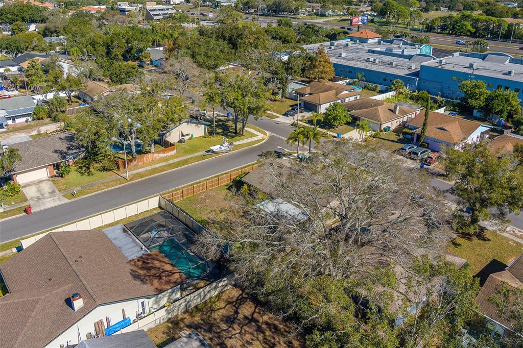 1790 East Orangeside Road Palm Harbor, FL 34683 - Photo 64 of 70