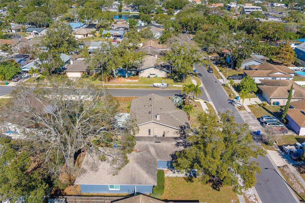 1790 East Orangeside Road Palm Harbor, FL 34683 - Photo 65 of 70