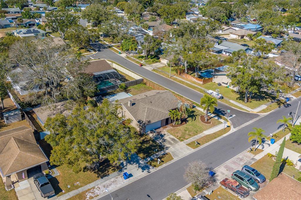 1790 East Orangeside Road Palm Harbor, FL 34683 - Photo 66 of 70