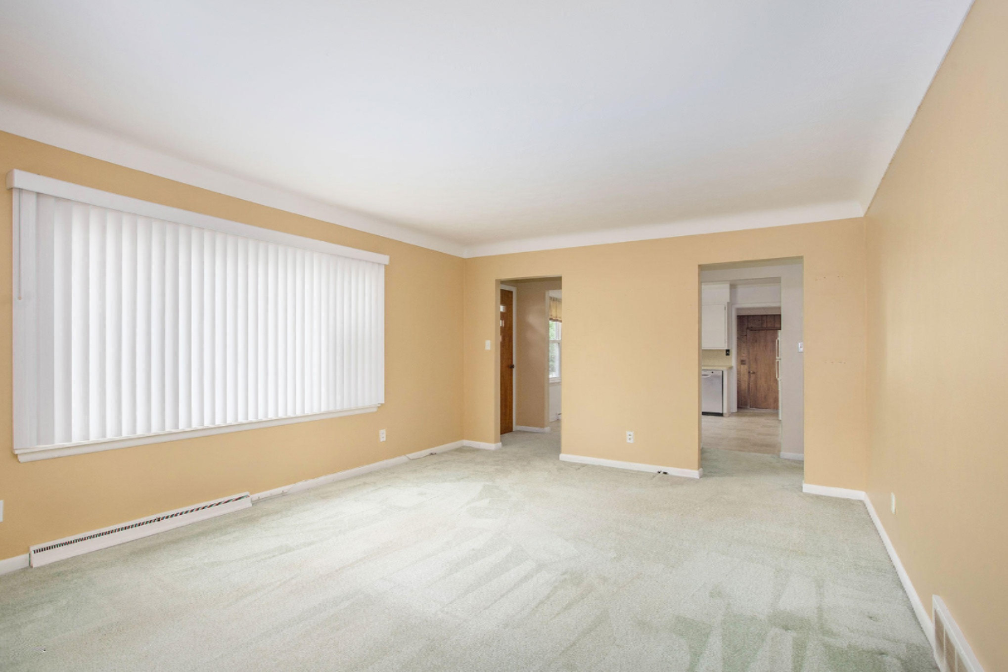 4007 Mt Olivet Road Kalamazoo, MI 49004 - Photo 5 of 20 NDP-DNGs_58