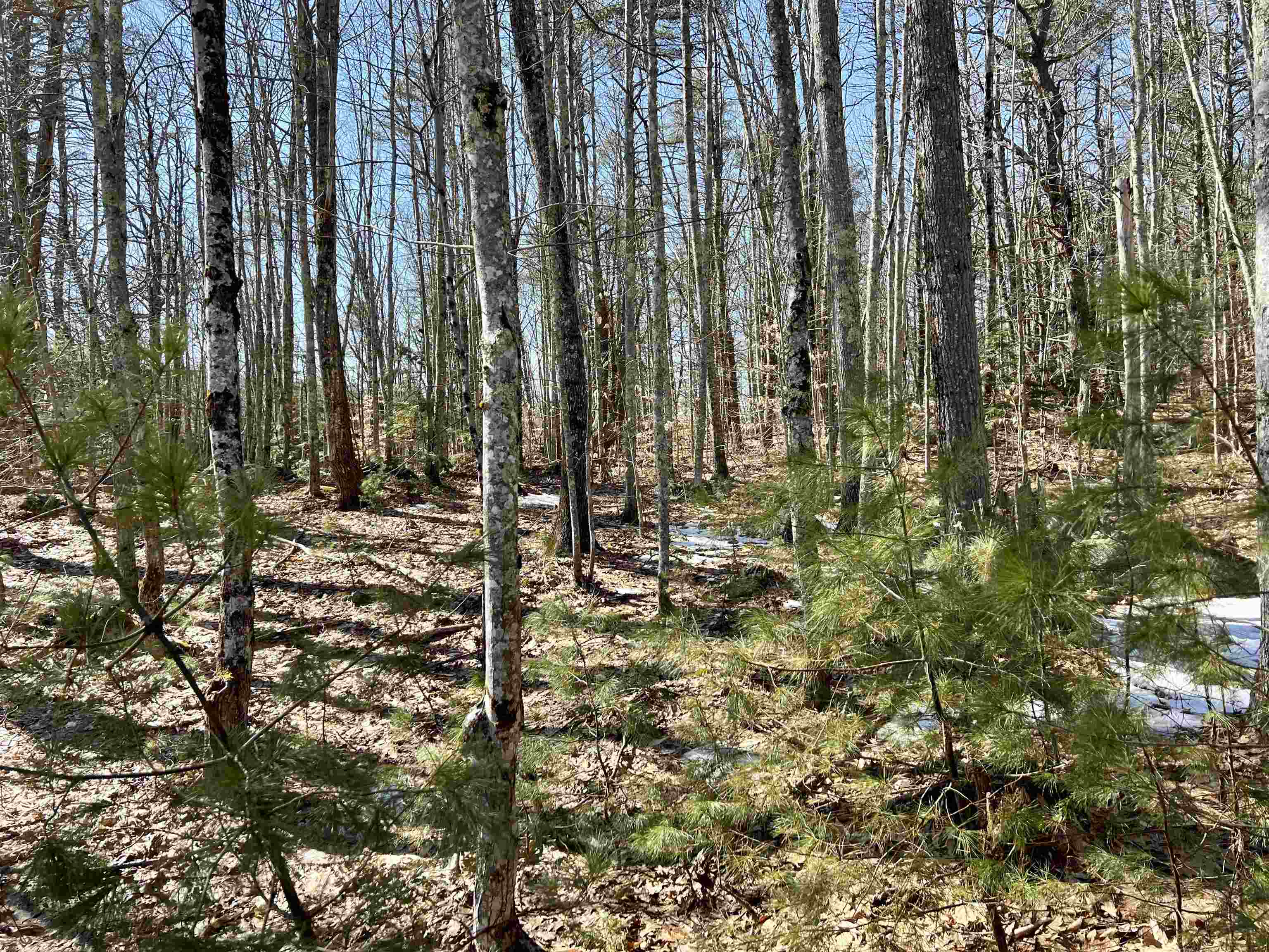 Lot 5 Middle Road, Unit 29002005 Center Tuftonboro, NH 03816 - Photo 3 of 14 Gallery Image 3