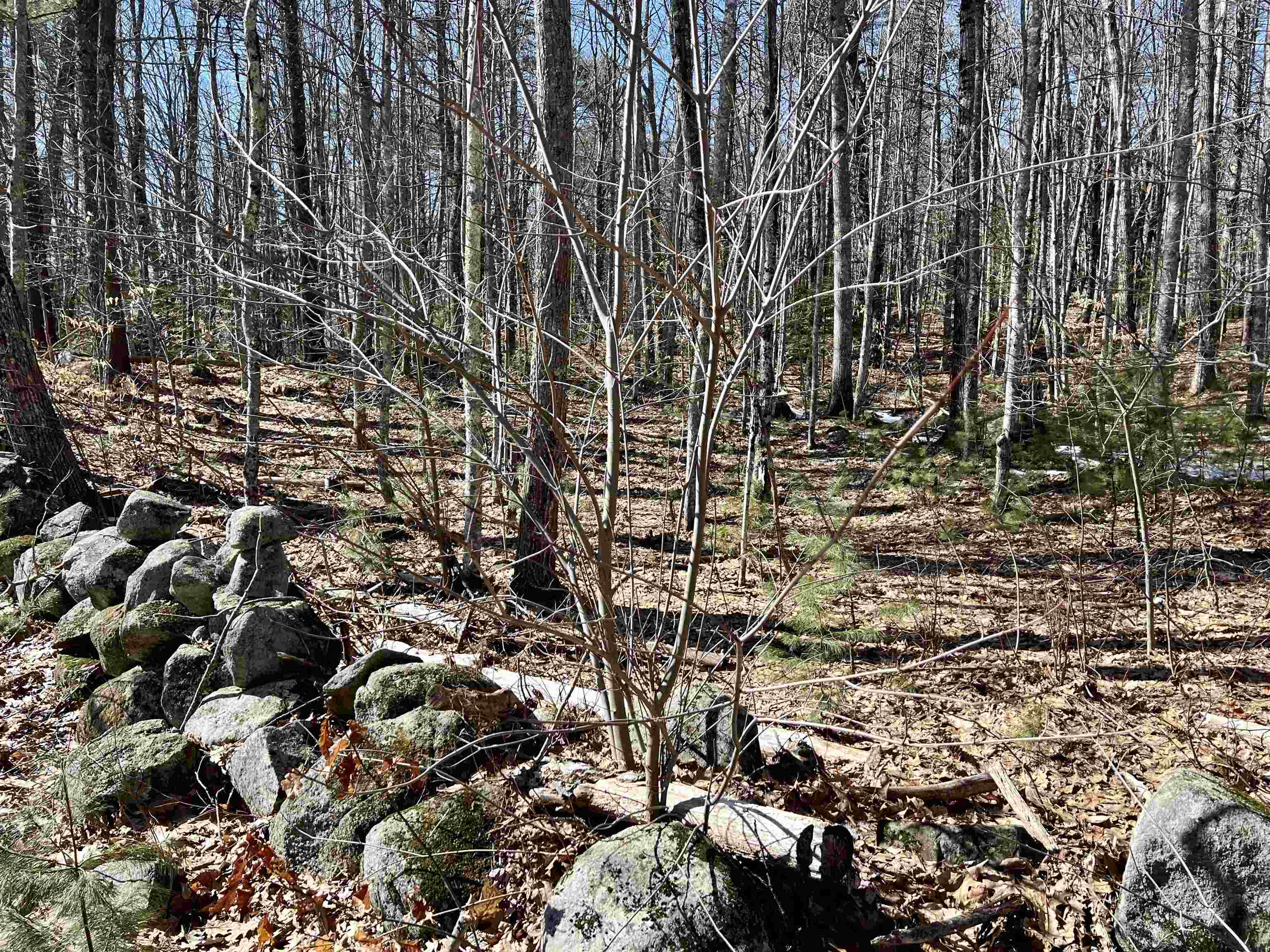 Lot 5 Middle Road, Unit 29002005 Center Tuftonboro, NH 03816 - Photo 8 of 14 Gallery Image 8