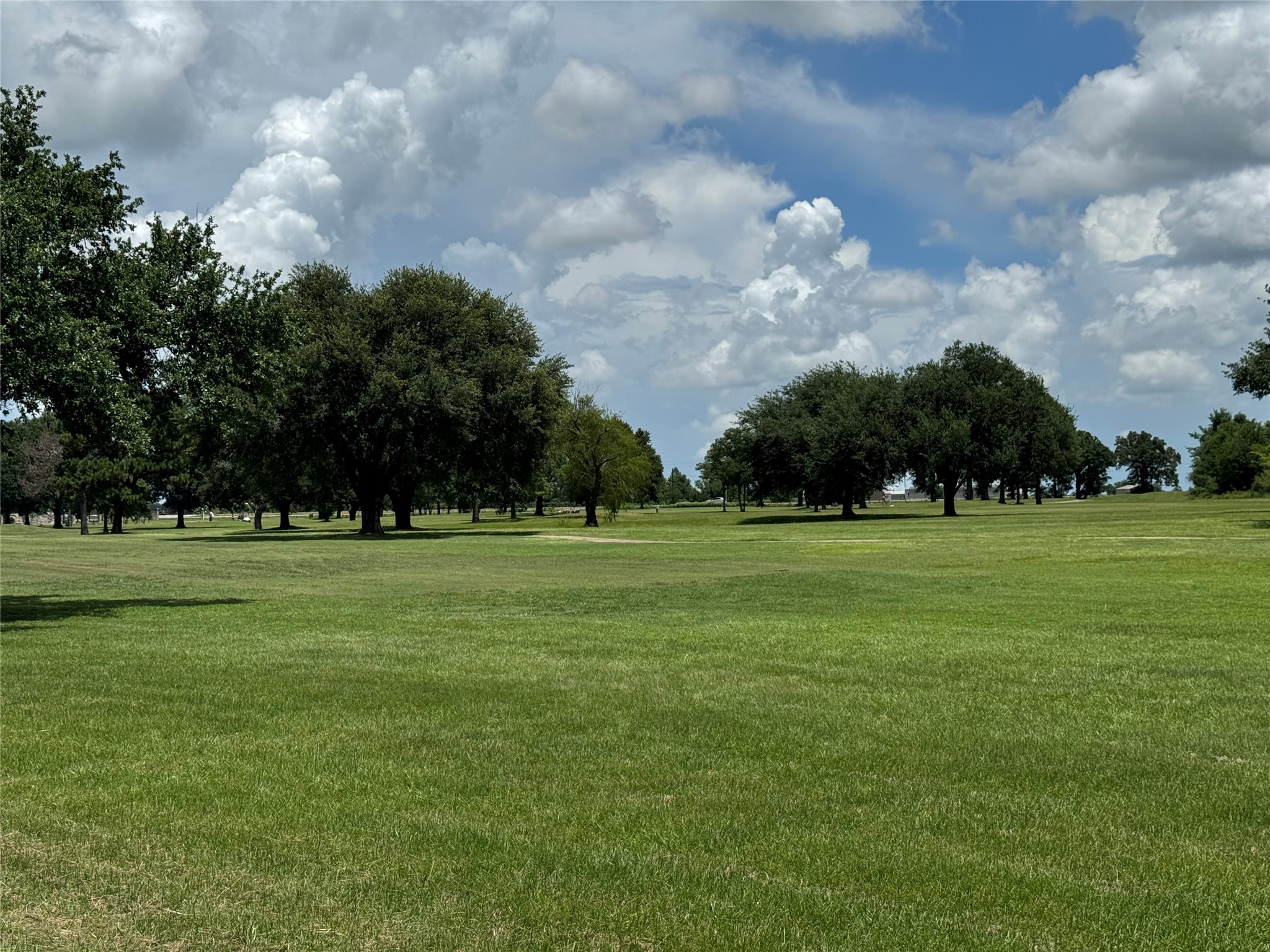320 Mavanelle Cove Hempstead, TX 77445 - Photo 11 of 13 a view of field with trees in the background