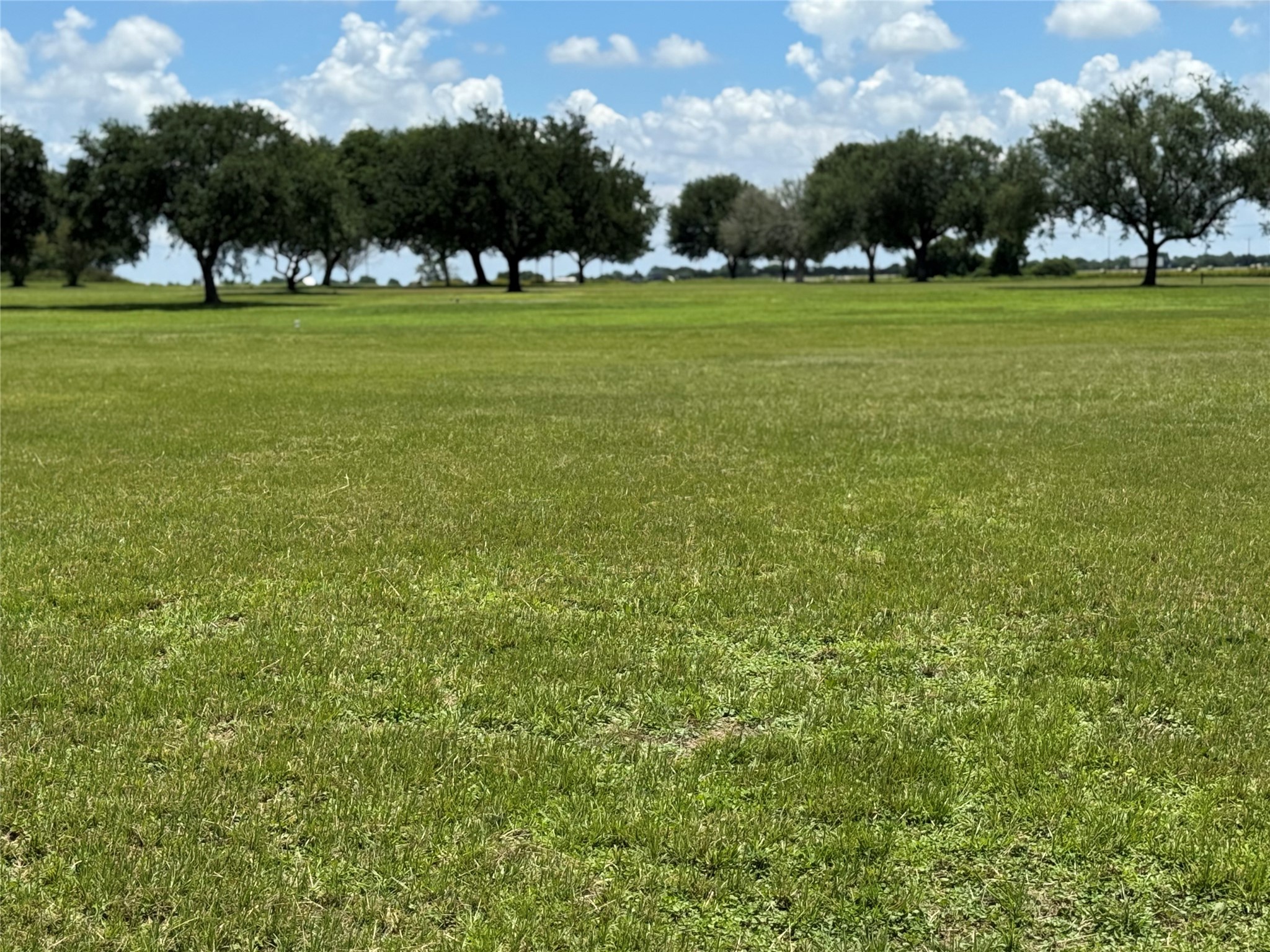 320 Mavanelle Cove Hempstead, TX 77445 - Photo 12 of 13 a view of yard with green space